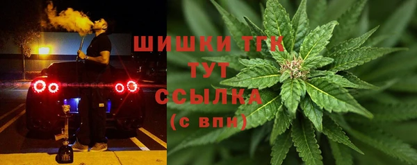 PSILOCYBIN Балабаново