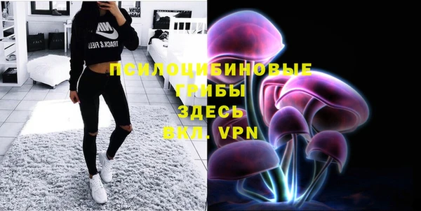 PSILOCYBIN Балабаново