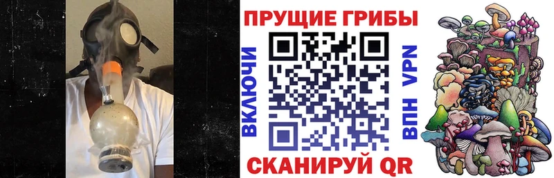 ссылка на мегу ССЫЛКА  Узловая  Псилоцибиновые грибы GOLDEN TEACHER 